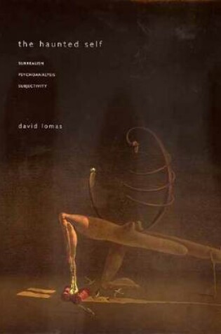 Cover of The Haunted Self