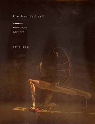 Book cover for The Haunted Self