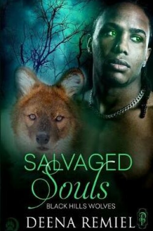 Cover of Salvaged Souls