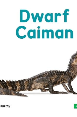 Cover of Mini Animals: Dwarf Caiman