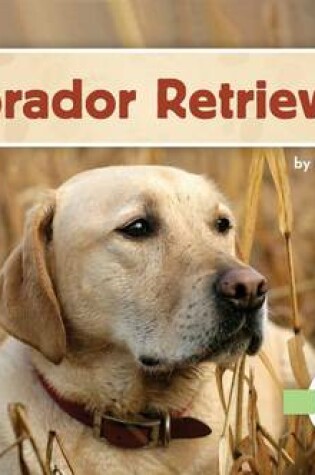 Cover of Labrador Retrievers