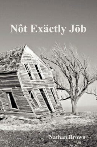 Cover of Not Exactly Job