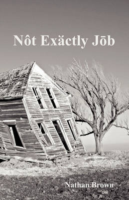 Book cover for Not Exactly Job