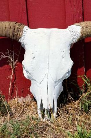 Cover of Texas Decoration, a Bull Skull Leaning on a Barn