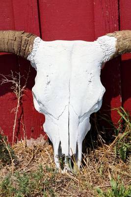 Book cover for Texas Decoration, a Bull Skull Leaning on a Barn