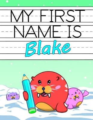 Book cover for My First Name is Blake