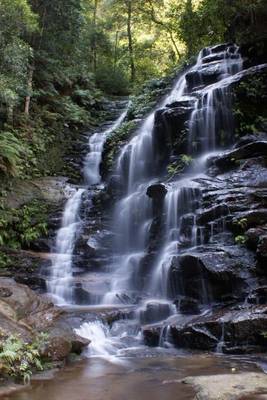 Book cover for Empress Falls Australia Journal