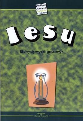 Book cover for Iesu - Ei Bwysigrwydd i Gredinwyr