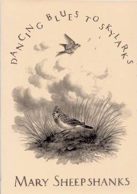 Book cover for Dancing Blues to Skylarks