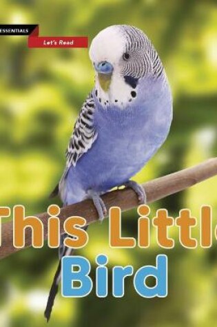 Cover of This Little Bird