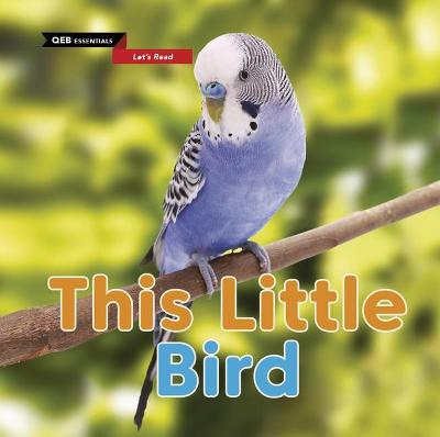 Book cover for This Little Bird