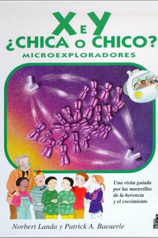 Cover of X E y Chica O Chico