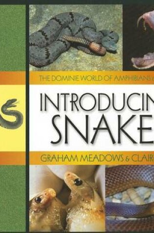 Cover of Introducing Snakes