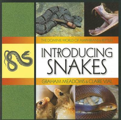 Book cover for Introducing Snakes
