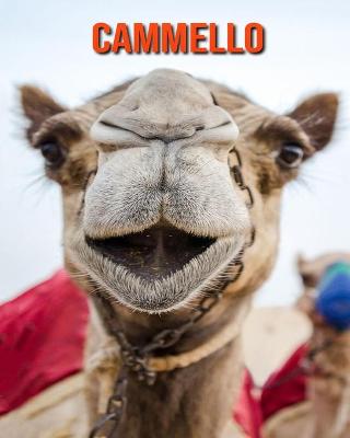 Book cover for Cammello