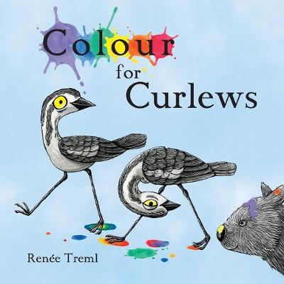 Book cover for Colour for Curlews