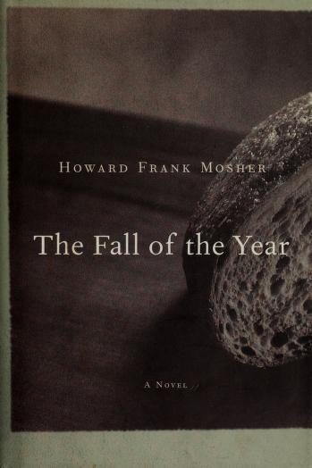 Book cover for The Fall of the Year