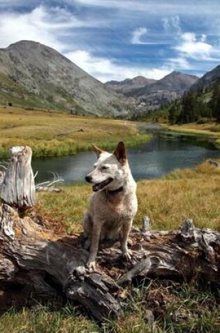 Cover of Red Heeler Australian Cattle Dog in Sierra Nevada Range California Journal