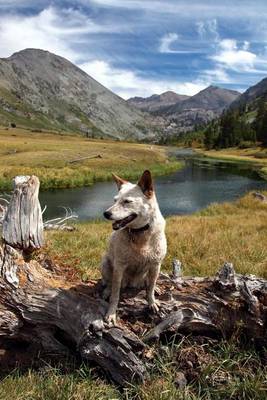 Book cover for Red Heeler Australian Cattle Dog in Sierra Nevada Range California Journal