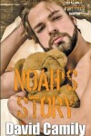 Book cover for Noah's Story