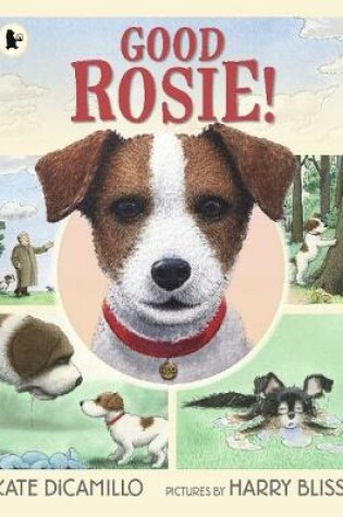 Cover of Good Rosie!