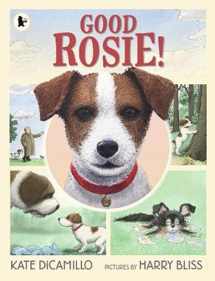 Book cover for Good Rosie!