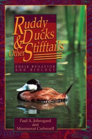 Cover of Ruddy Ducks and Other Stifftails