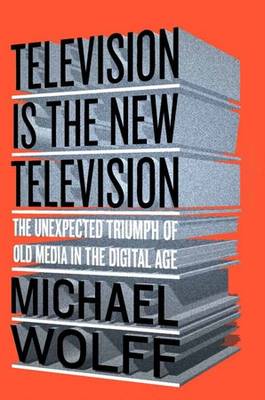 Book cover for Television Is The New TelevisionOld Media In The Digital Age