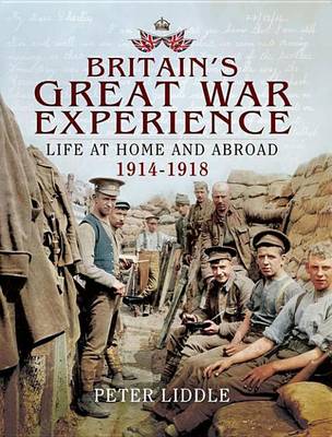 Book cover for Britain's Great War Experience