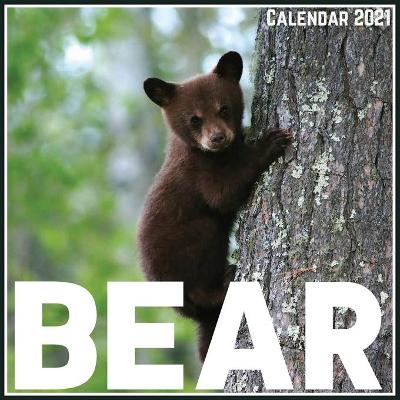 Book cover for Bear Calendar 2021