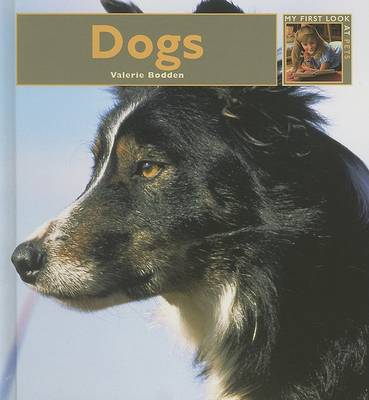 Book cover for Dogs