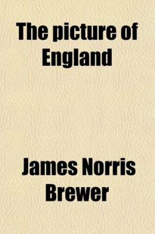 Cover of The Picture of England (Volume 2); Or, Historical and Descriptive Delineations of the Most Curious Works of Nature and Art in Each County Calculated as an Agreeable Companion to the Tourist, or a Class Book for the Student