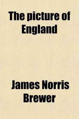 Book cover for The Picture of England (Volume 2); Or, Historical and Descriptive Delineations of the Most Curious Works of Nature and Art in Each County Calculated as an Agreeable Companion to the Tourist, or a Class Book for the Student