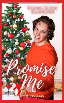 Book cover for Promise Me At Christmas