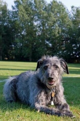Cover of Adorable Irish Wolfhound Journal