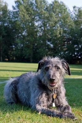 Book cover for Adorable Irish Wolfhound Journal
