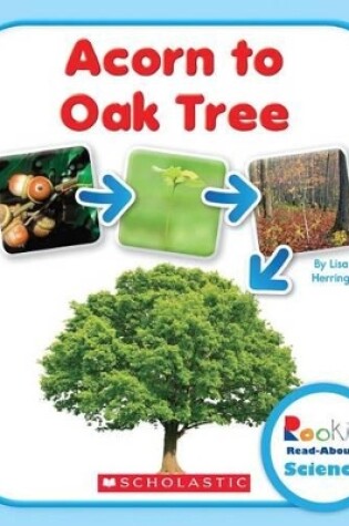 Cover of Acorn to Oak Tree (Rookie Read-About Science: Life Cycles)