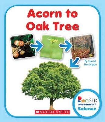 Book cover for Acorn to Oak Tree (Rookie Read-About Science: Life Cycles)