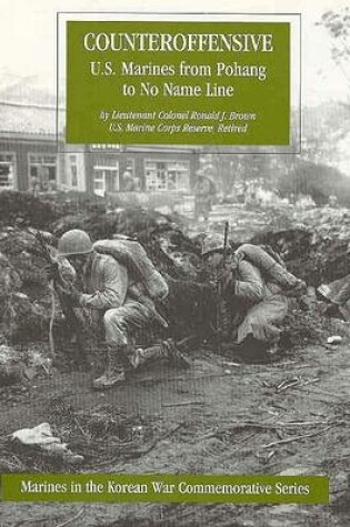 Cover of Counteroffensive