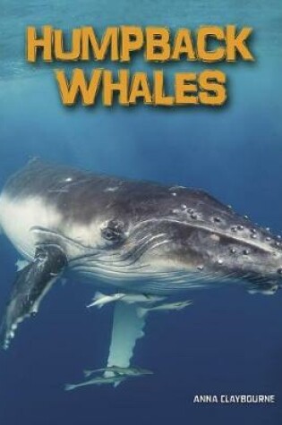 Cover of Humpback Whales (Living in the Wild: Sea Mammals)