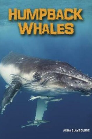 Cover of Living in the Wild Sea Mammals Humpback Whales