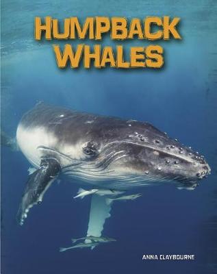 Book cover for Humpback Whales (Living in the Wild: Sea Mammals)