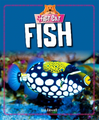Book cover for Fact Cat: Animals: Fish
