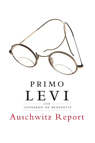 Cover of Auschwitz Report