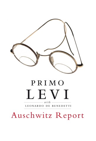 Book cover for Auschwitz Report