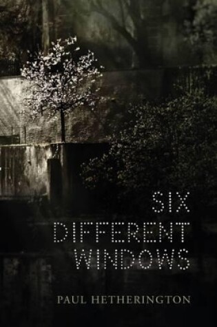 Cover of Six Different Windows