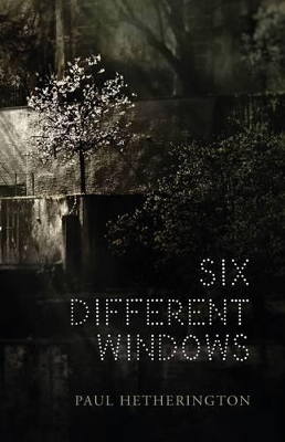 Book cover for Six Different Windows