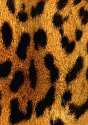 Book cover for Leopard Skin Diary