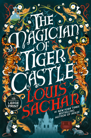 Cover of The Magician of Tiger Castle