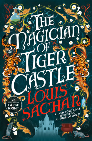 Book cover for The Magician of Tiger Castle